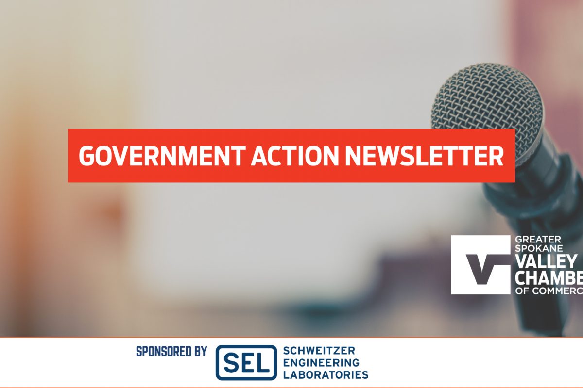 Government-Action-Newsletter